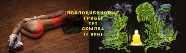 MDMA Медвежьегорск
