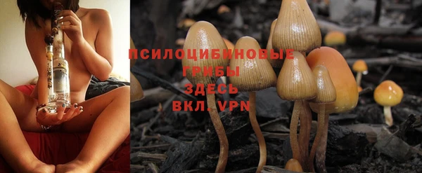 ALPHA-PVP Медногорск