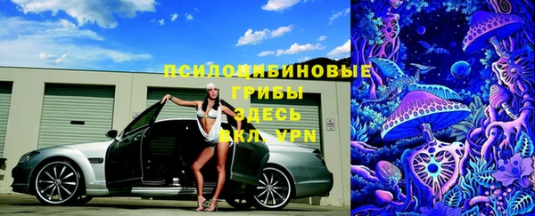 ALPHA-PVP Медногорск