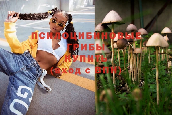 MDMA Медвежьегорск