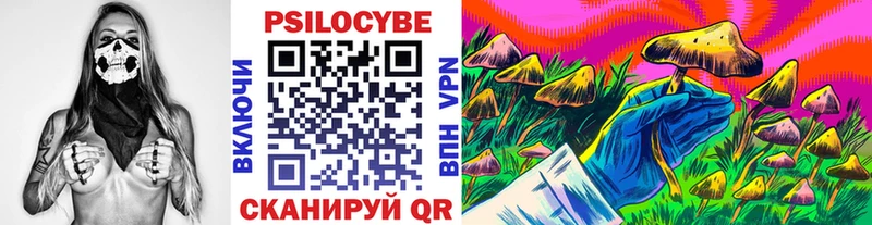 Псилоцибиновые грибы мицелий  купить наркотик  Николаевск 